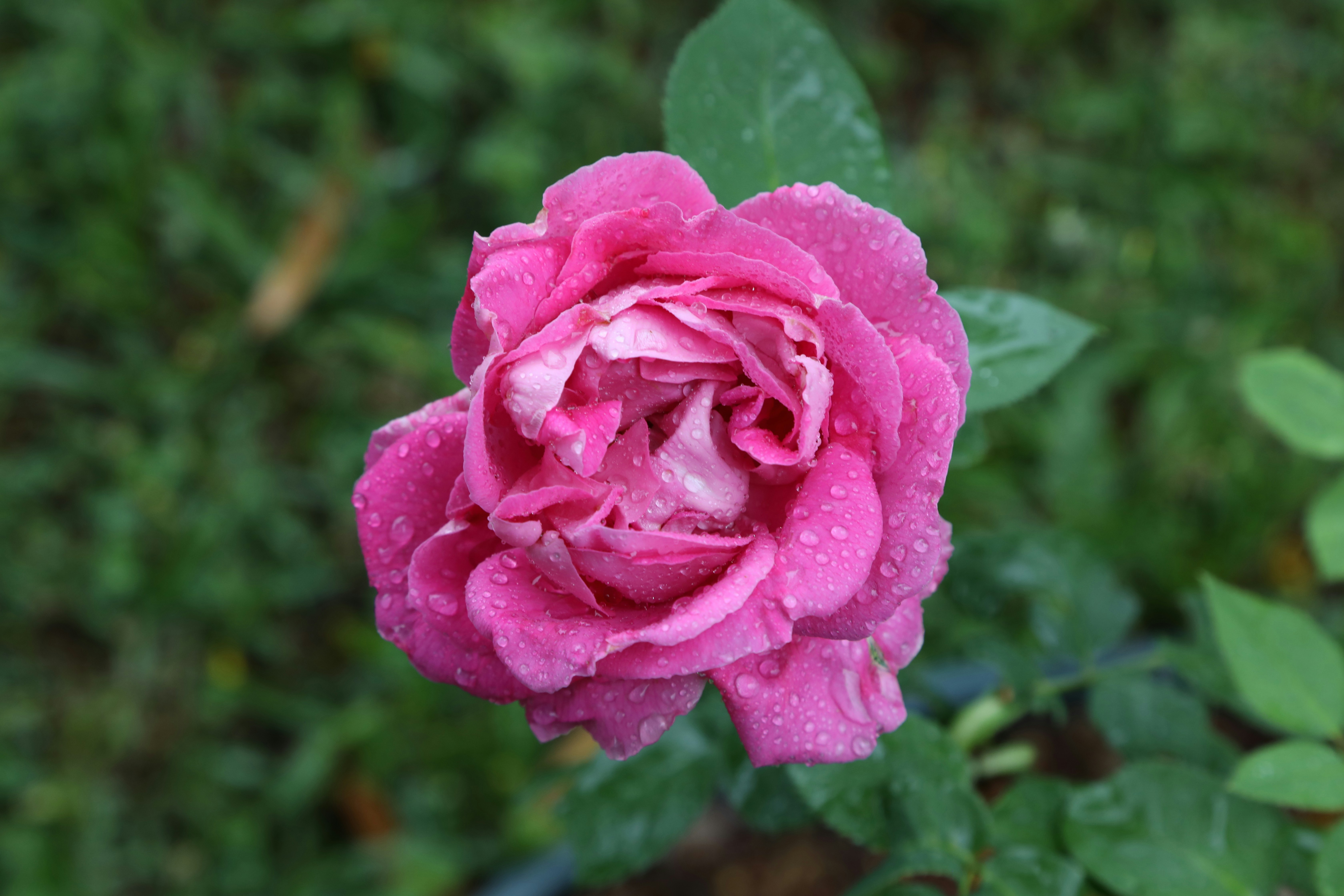 Photo by marcusdallcol