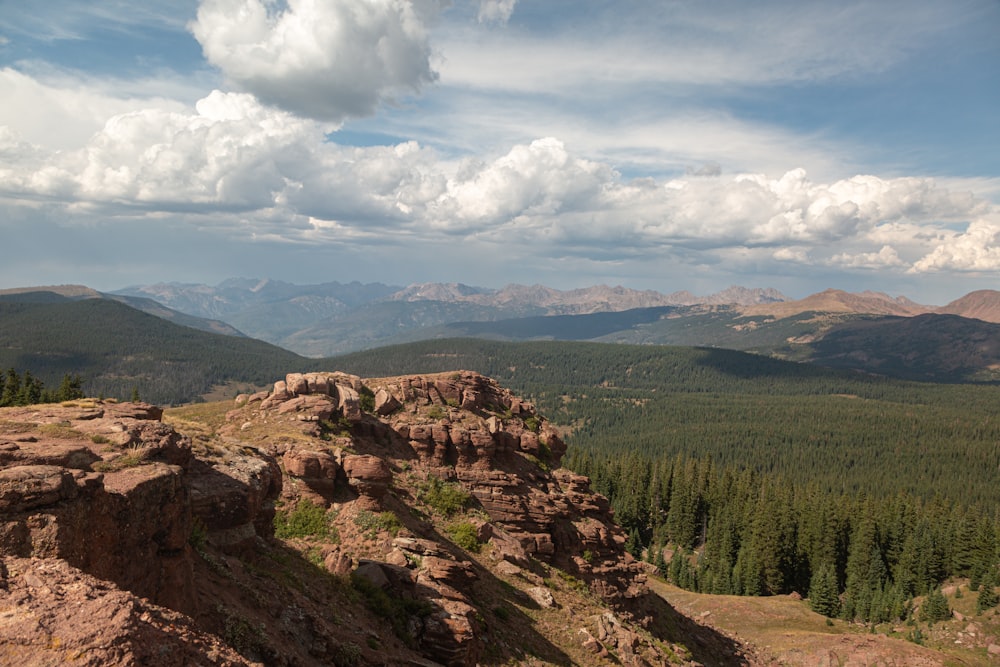 green trees on brown mountain under white clouds during daytime