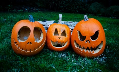 jack o lantern on green grass during daytime jack frost zoom background