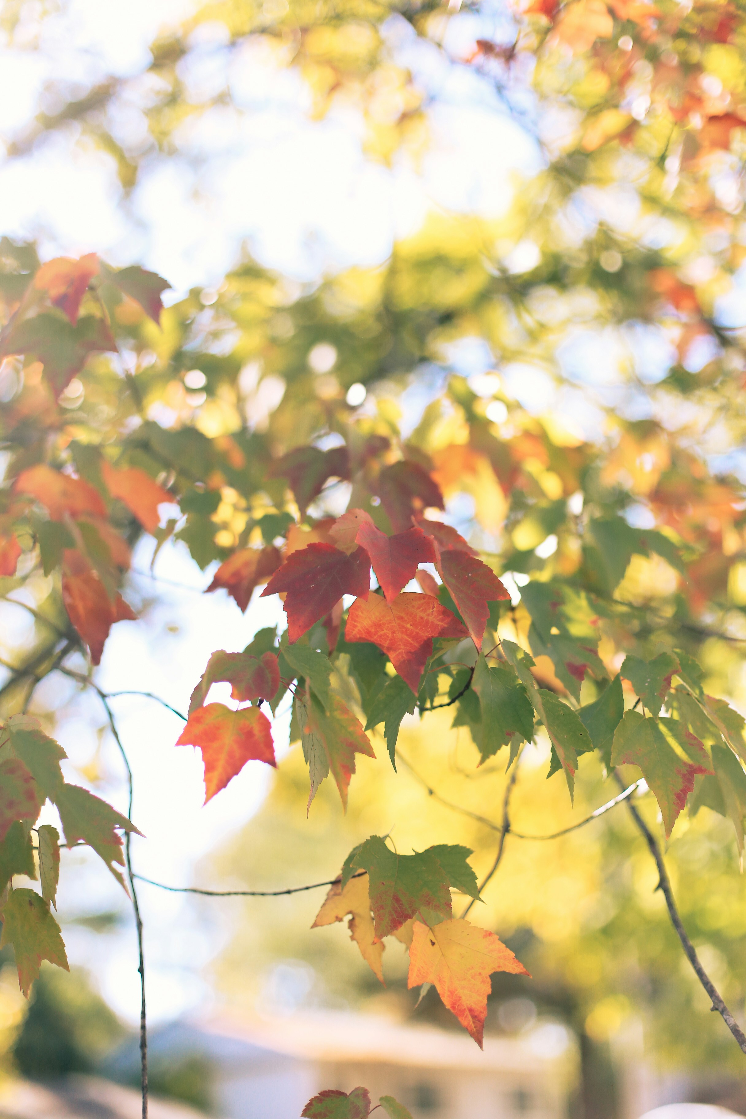 세상을 바꾸는 착한 습관: 사회 공헌, 알고 보면 나에게도 꿀이득?!