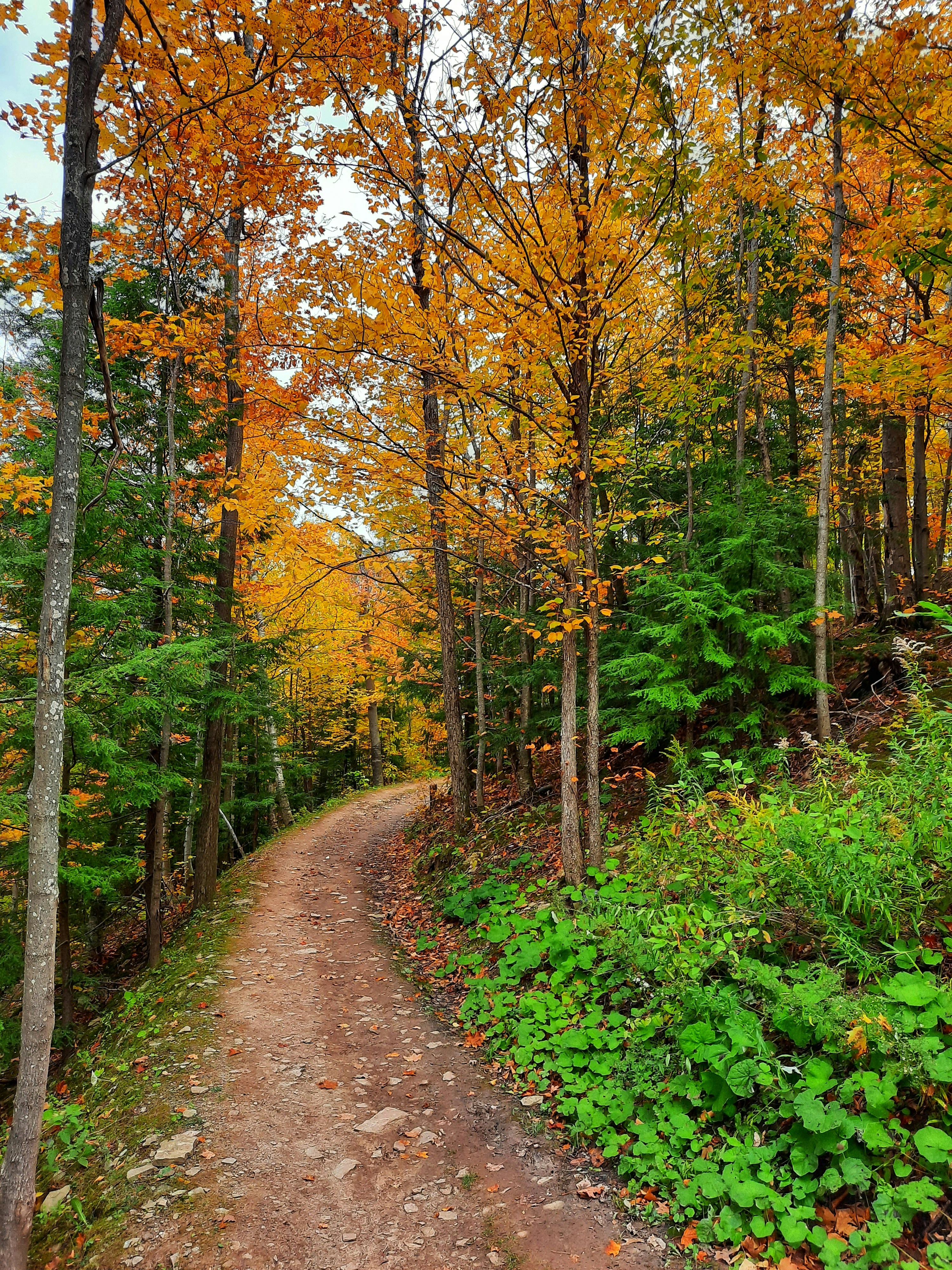 Photo by meri_vasilevski