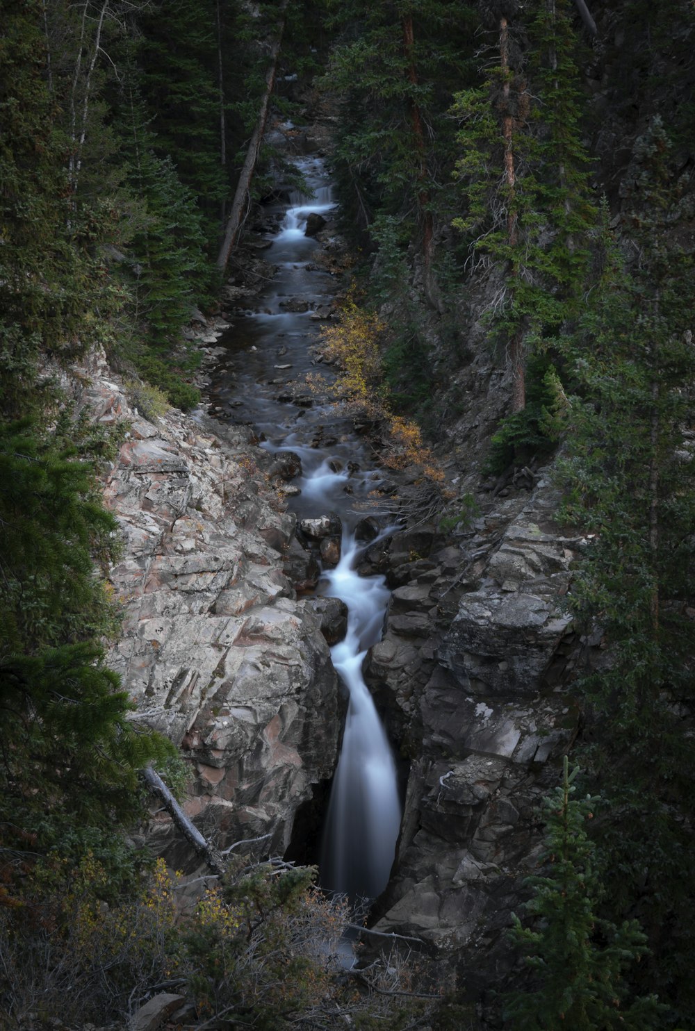 river in the middle of the forest