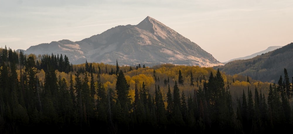 green trees near mountain under white sky during daytime