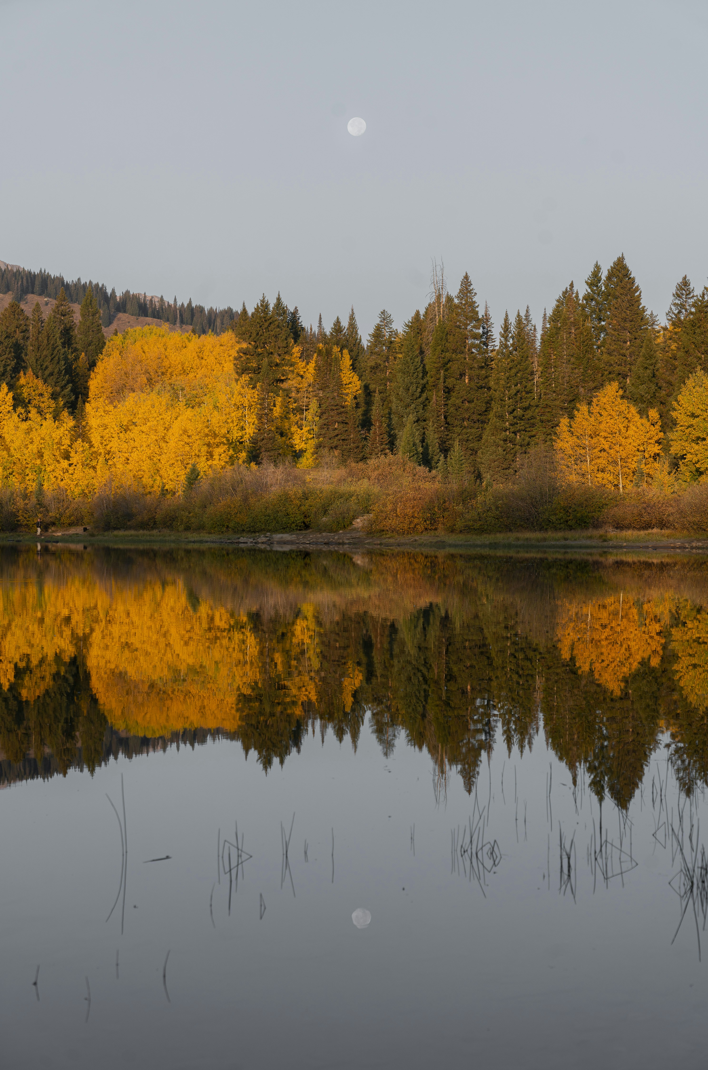 Photo by intricateexplorer