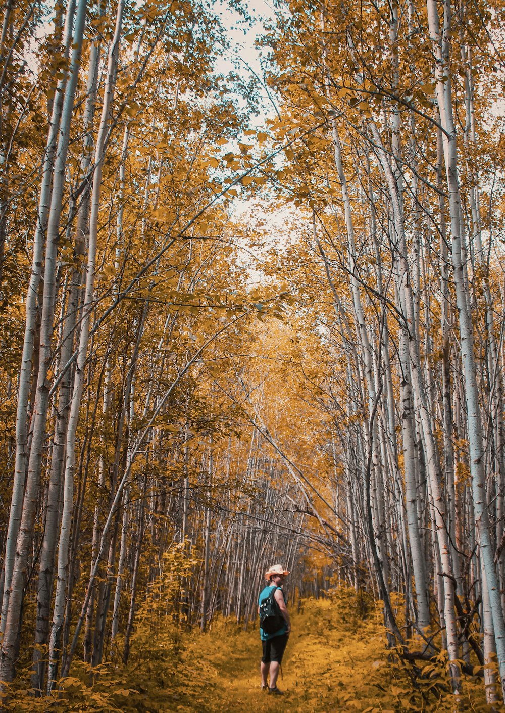 person in red jacket and blue denim jeans standing in the middle of the forest during