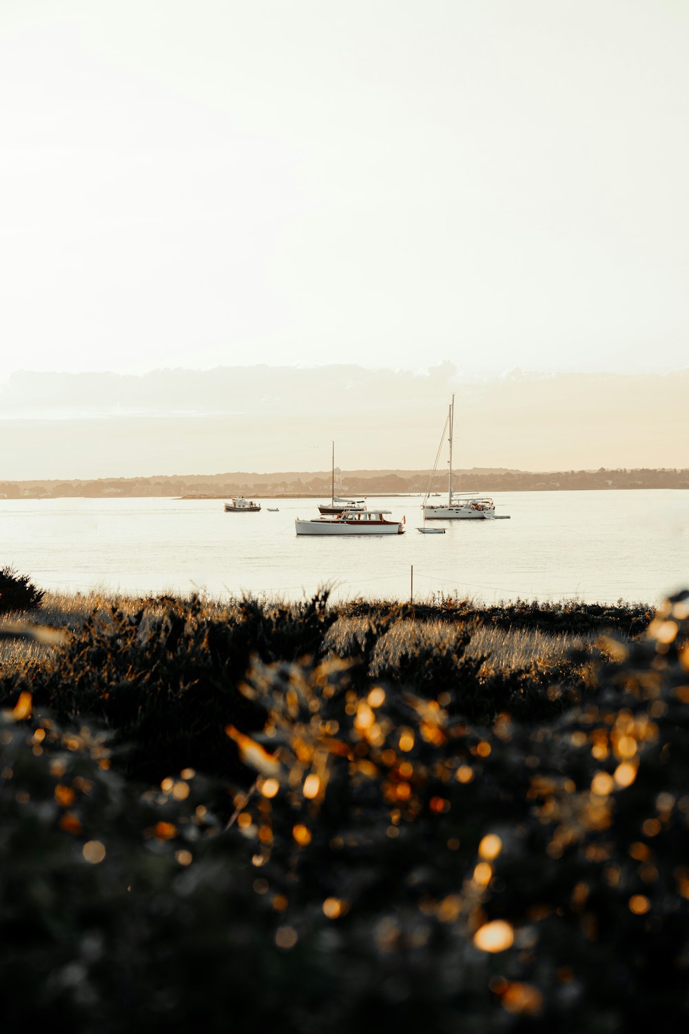 white boat on sea during daytime