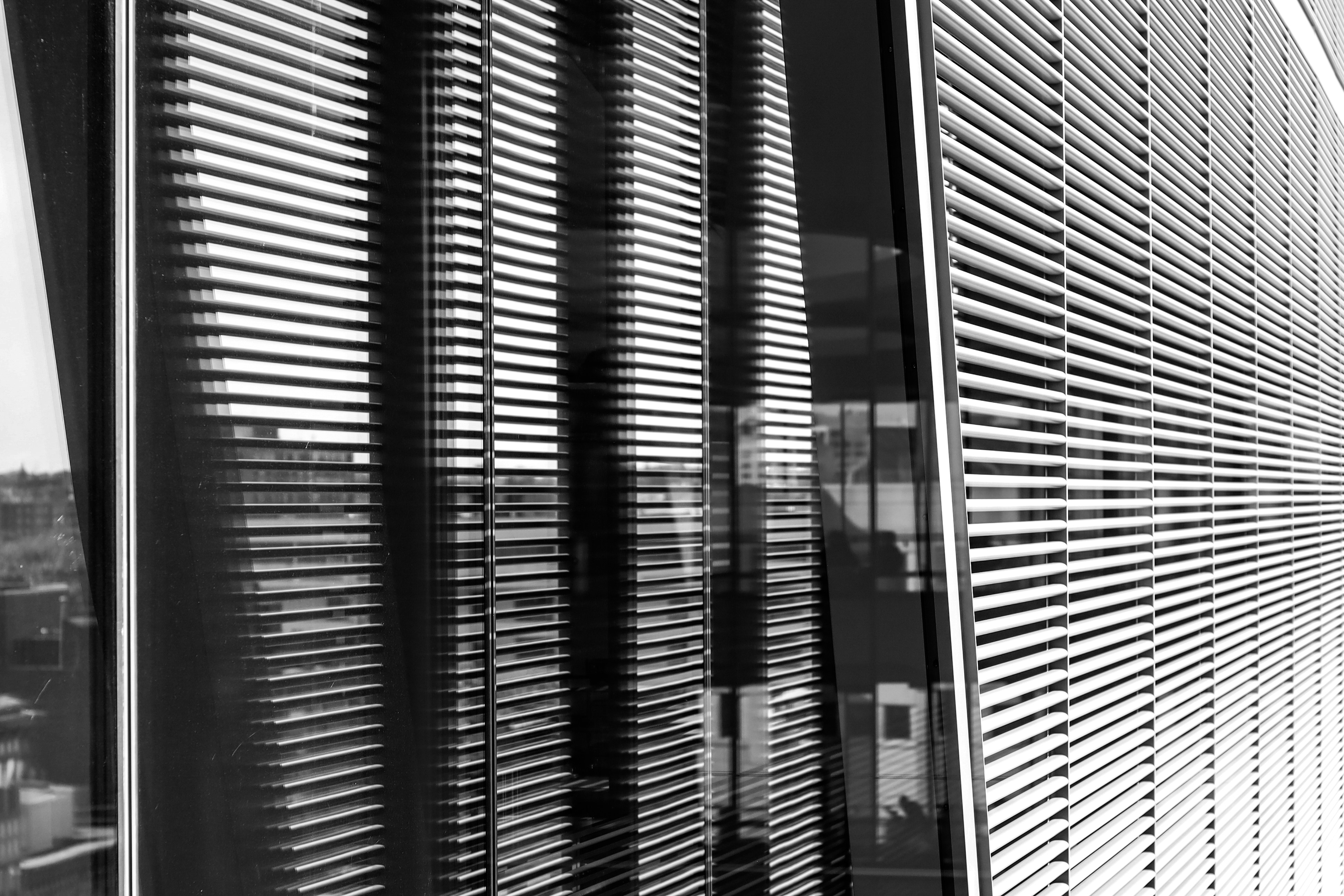 Auravaro Search's image