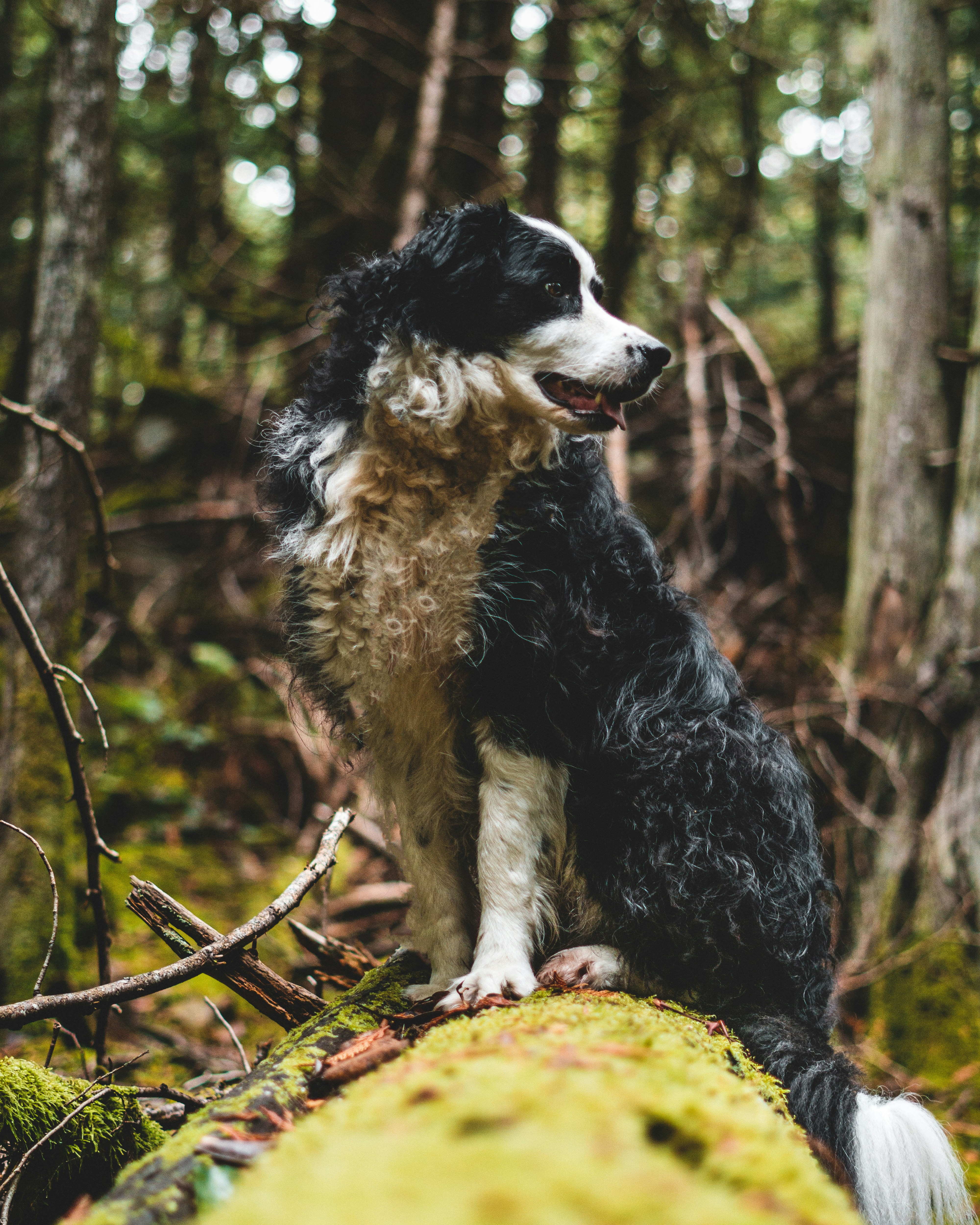 Photo by jaspergarrattphotography