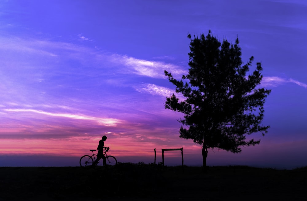 a person riding a bike near a tree at sunset