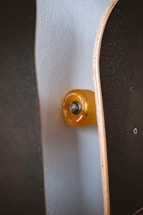 A close-up of a skateboard resting against a wall with soft natural light highlighting its vibrant deck.