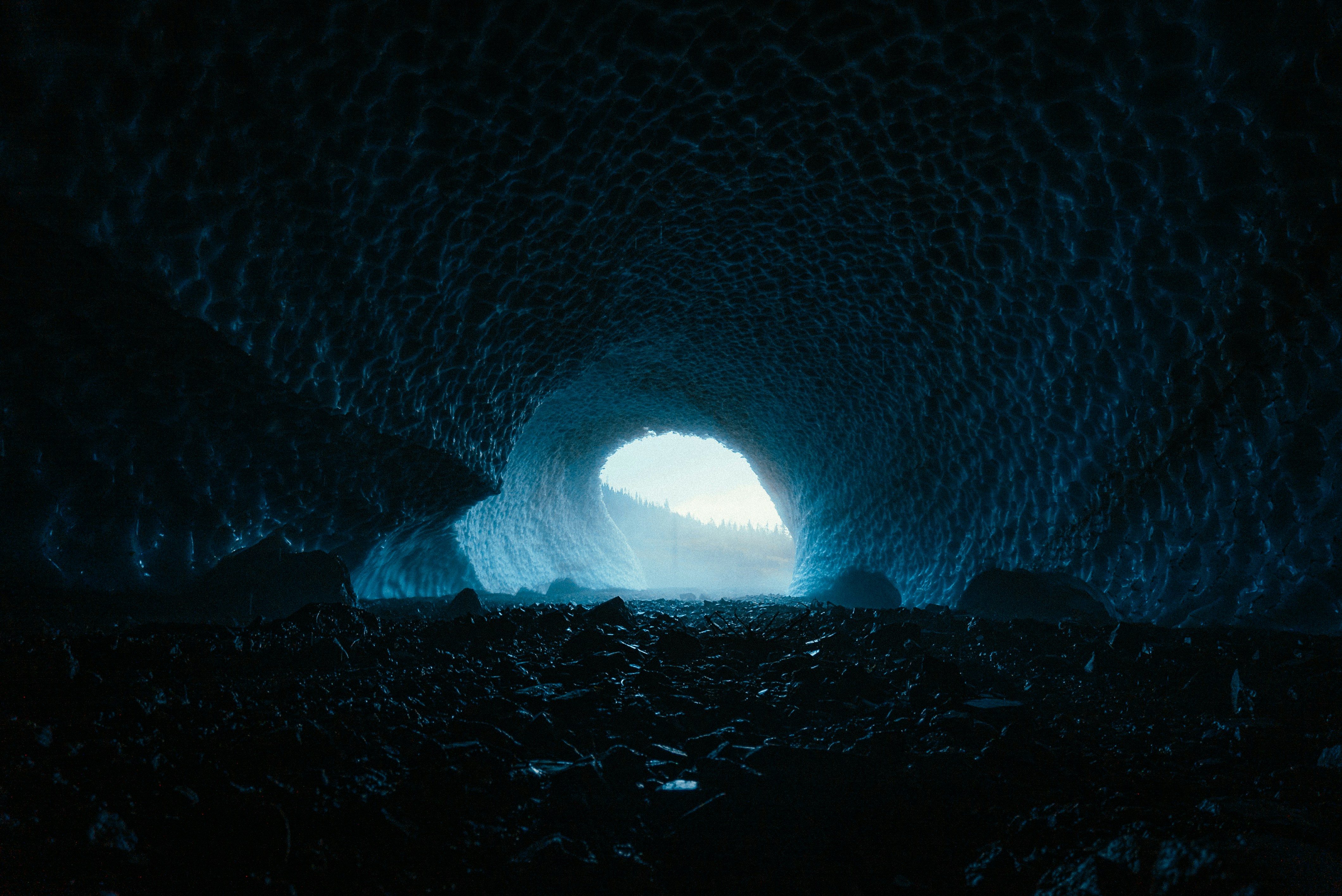 photo-1602562089895-dabed20e562f?ixid=M3wxMjA3fDB8MXxzZWFyY2h8MTI4fHxjaGF0Z3B0JTIwNHxlbnwwfHx8fDE3Mzc4Njg1NDZ8MA%5Cu0026ixlib=rb-4.0.3