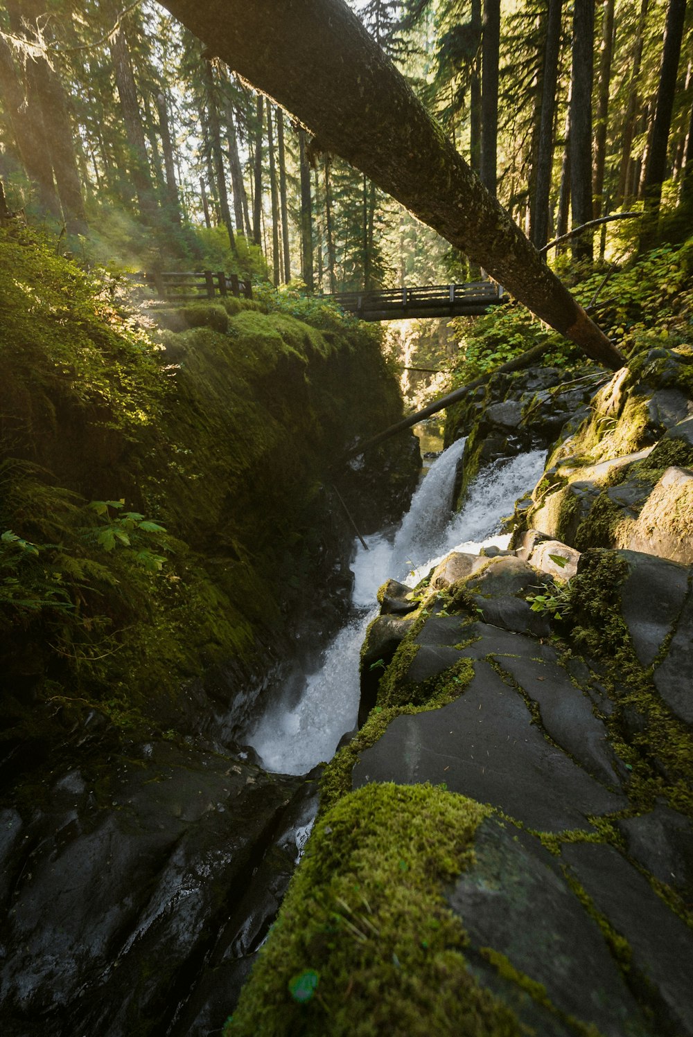 Pont en bois brun au-dessus de la rivière