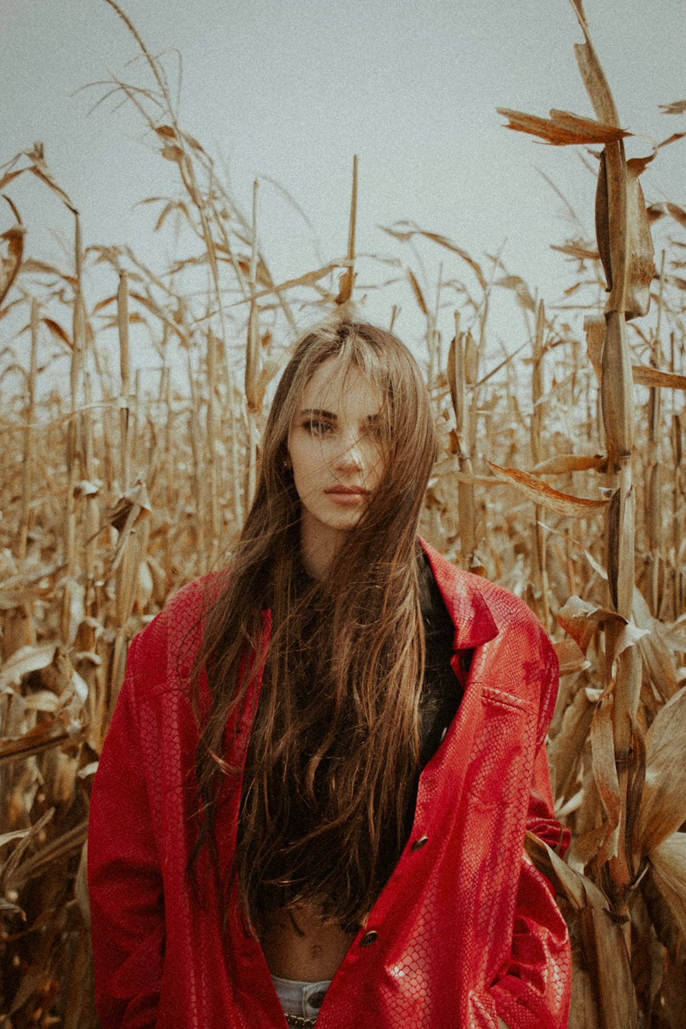 小麦畑の真ん中に立つ赤いスカーフの女性