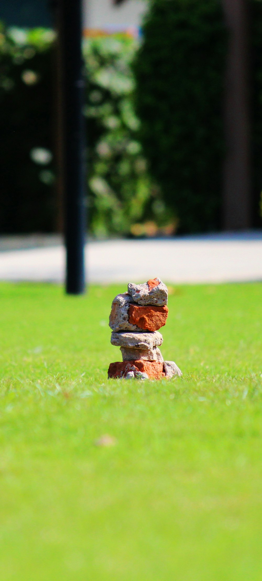 brown and gray stone on green grass during daytime