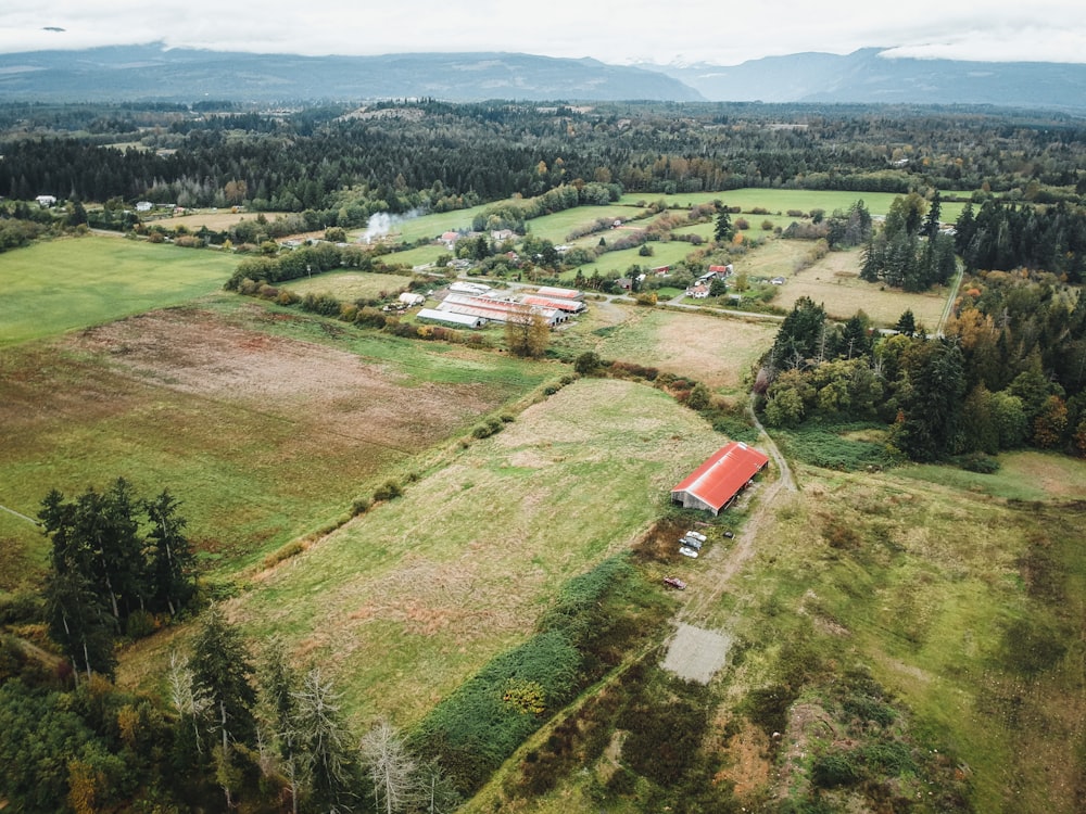 aerial view of green grass field during daytime