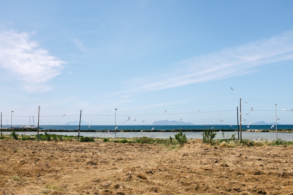 brown sand near green metal fence under blue sky during daytime