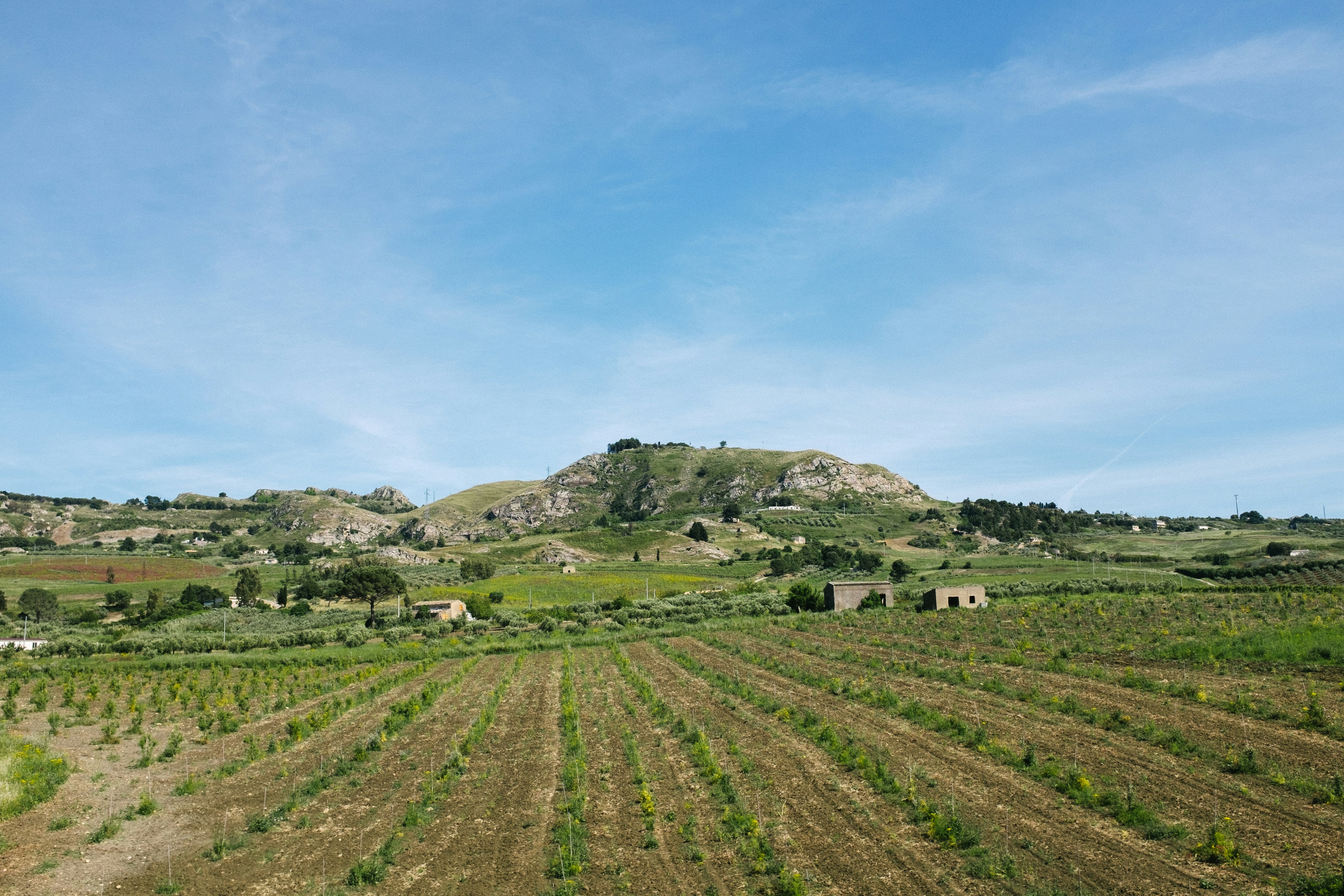 green grass field under blue sky during daytime, Sicily