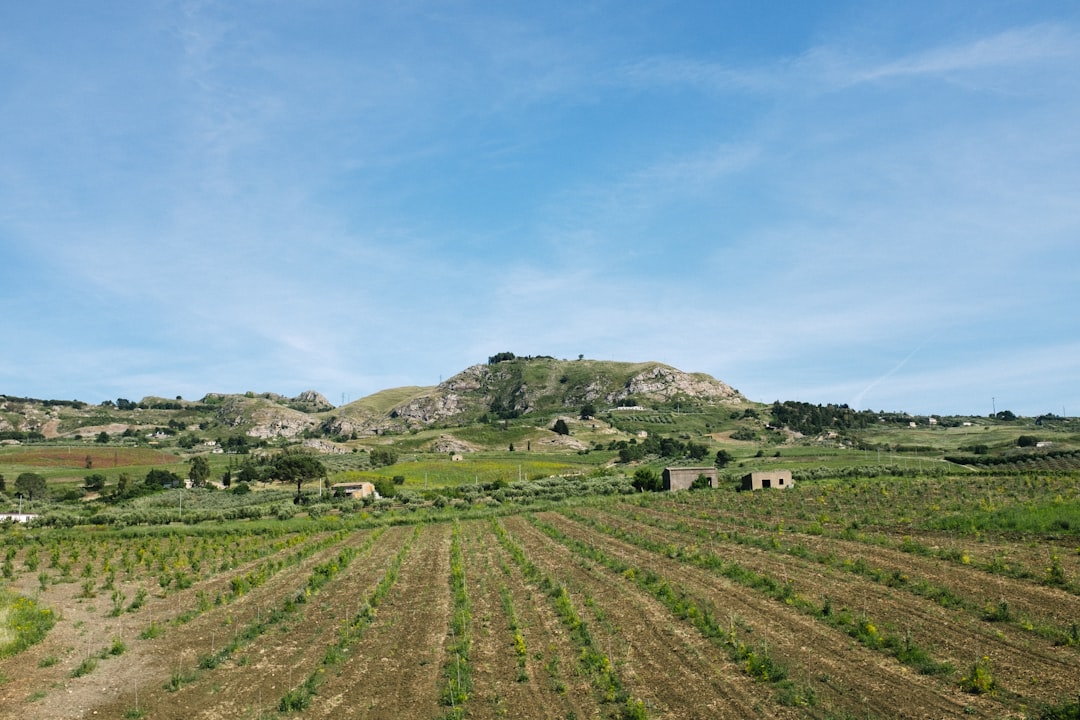 Inside Pantelleria's Ancient UNESCO-Protected Vineyards A