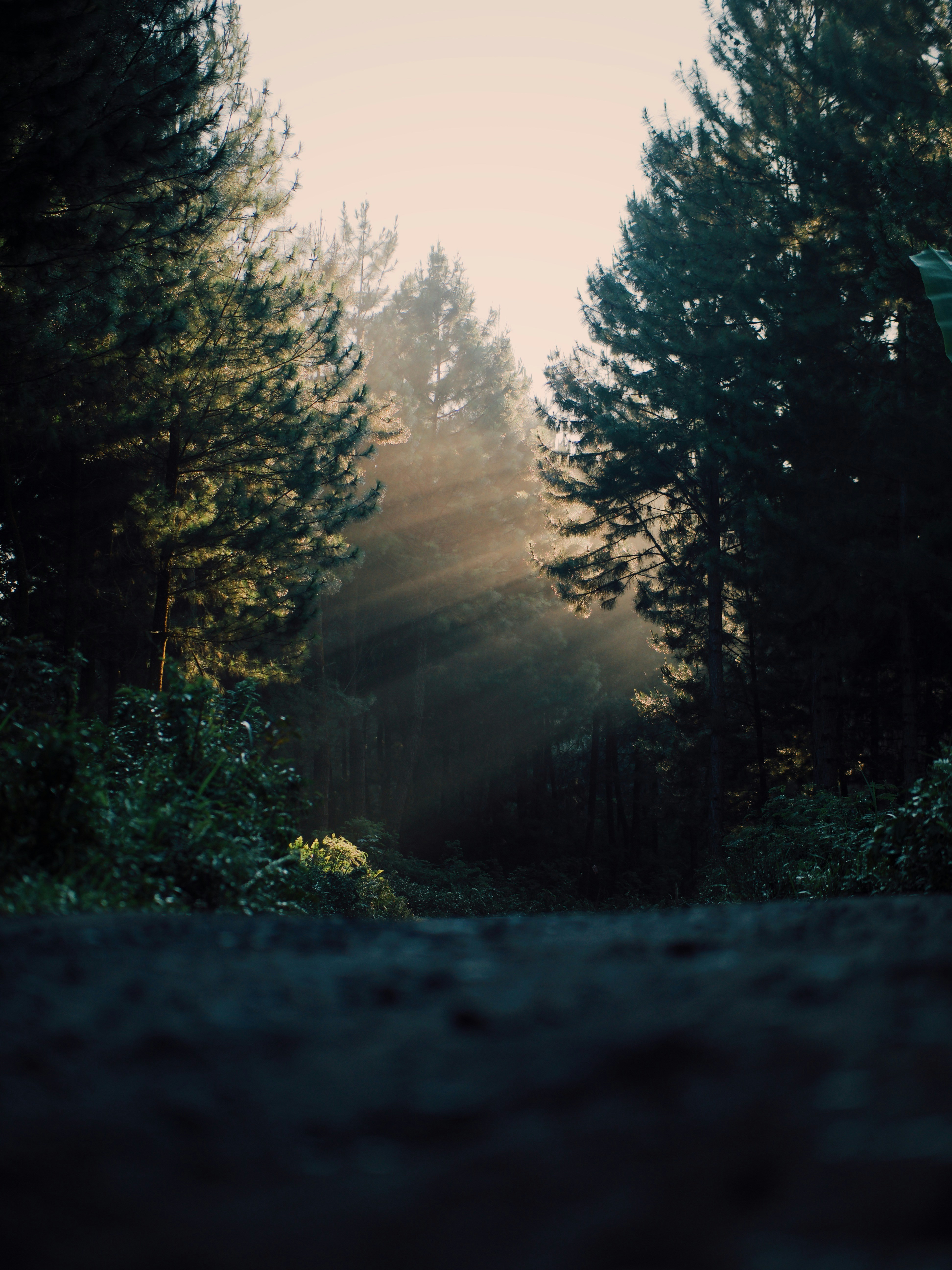 Photo by andarestachrisdyan