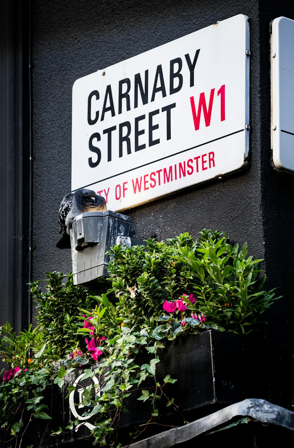 a street sign on the side of a building