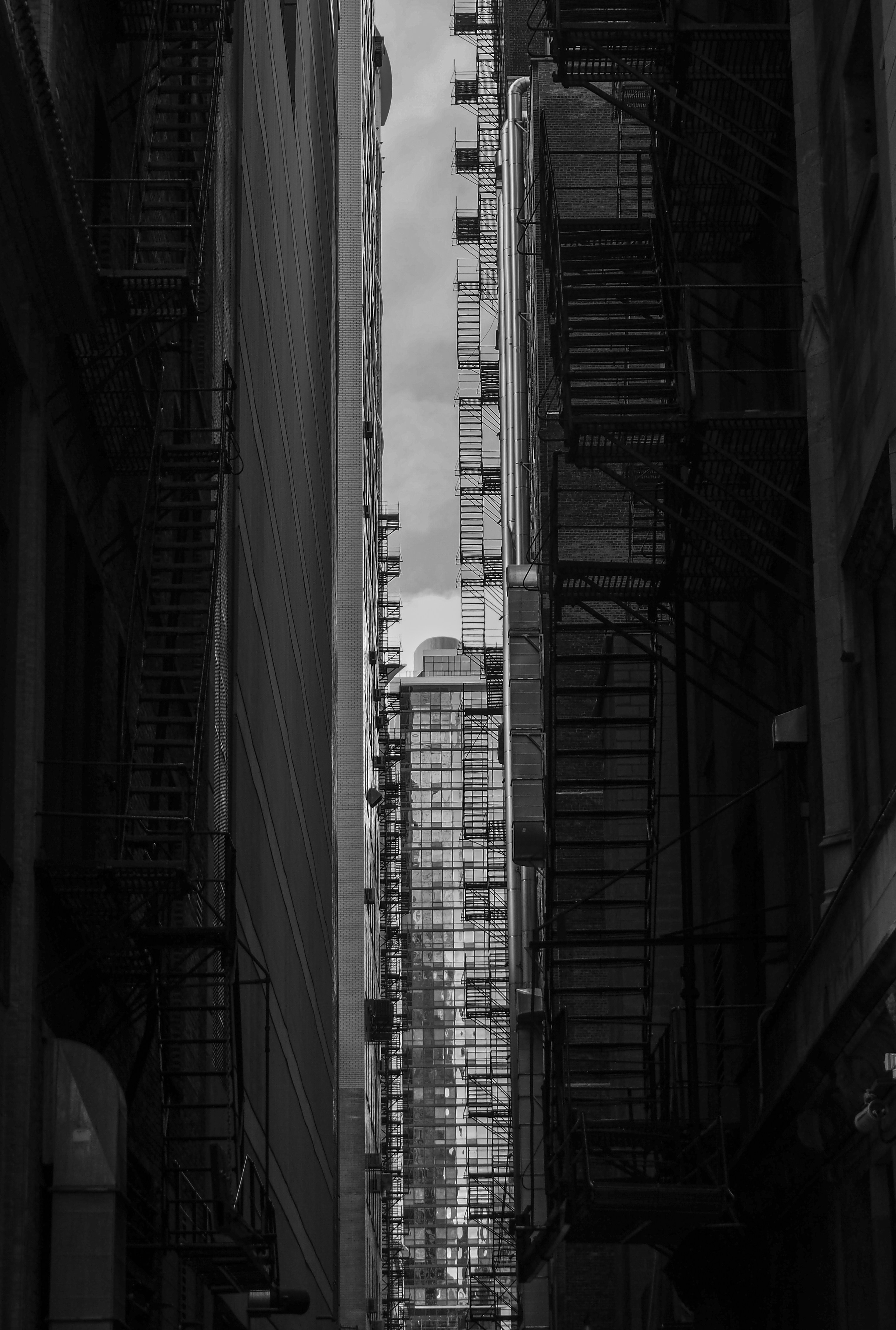 The 3 BEST in Royse City Barberhead