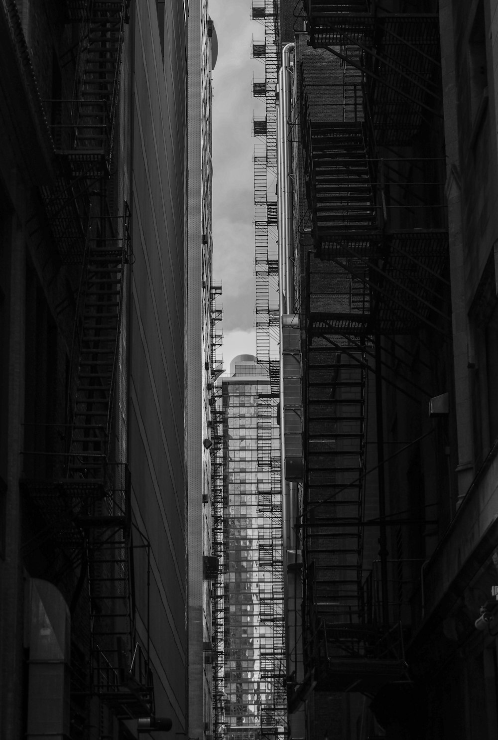 grayscale photo of city buildings