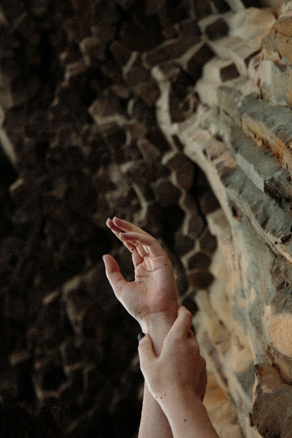 persons hand on brown rock