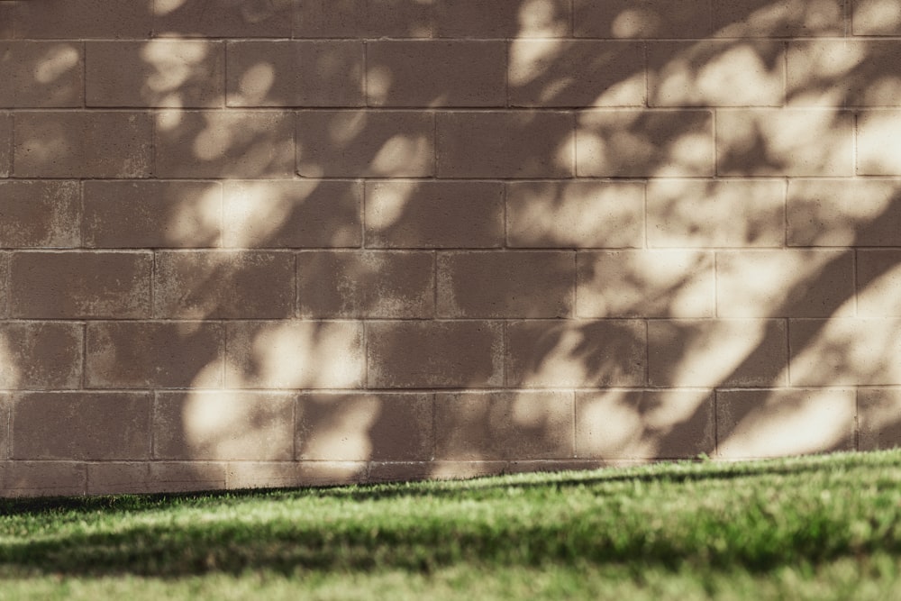 green grass beside brown brick wall