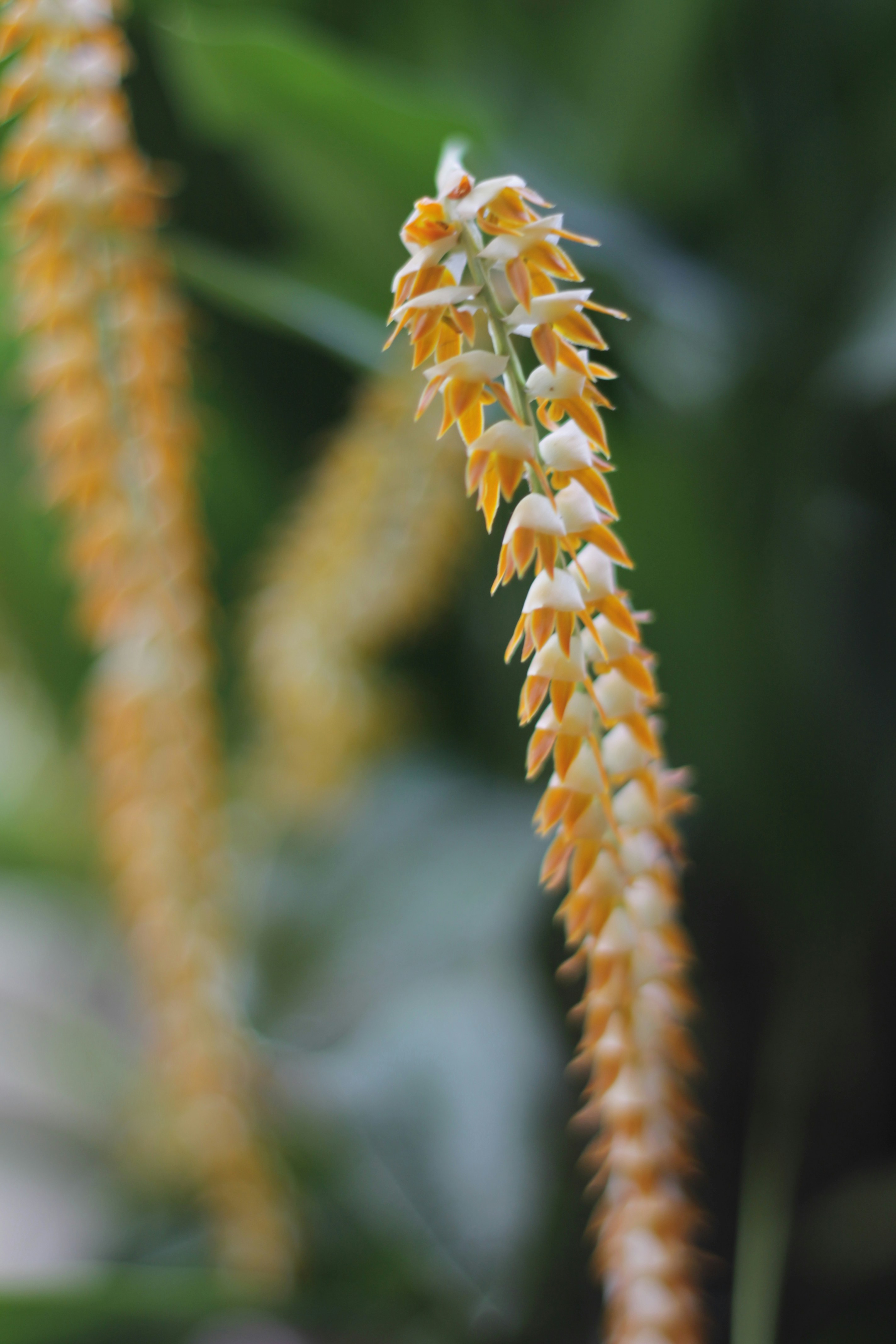 Photo by subtiledilemm