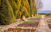 A professional gardener tending to a beautifully landscaped garden with terracotta accents.