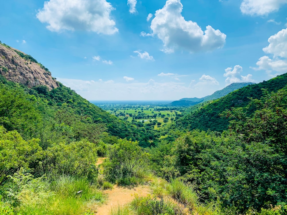 green trees on mountain under blue sky during daytime