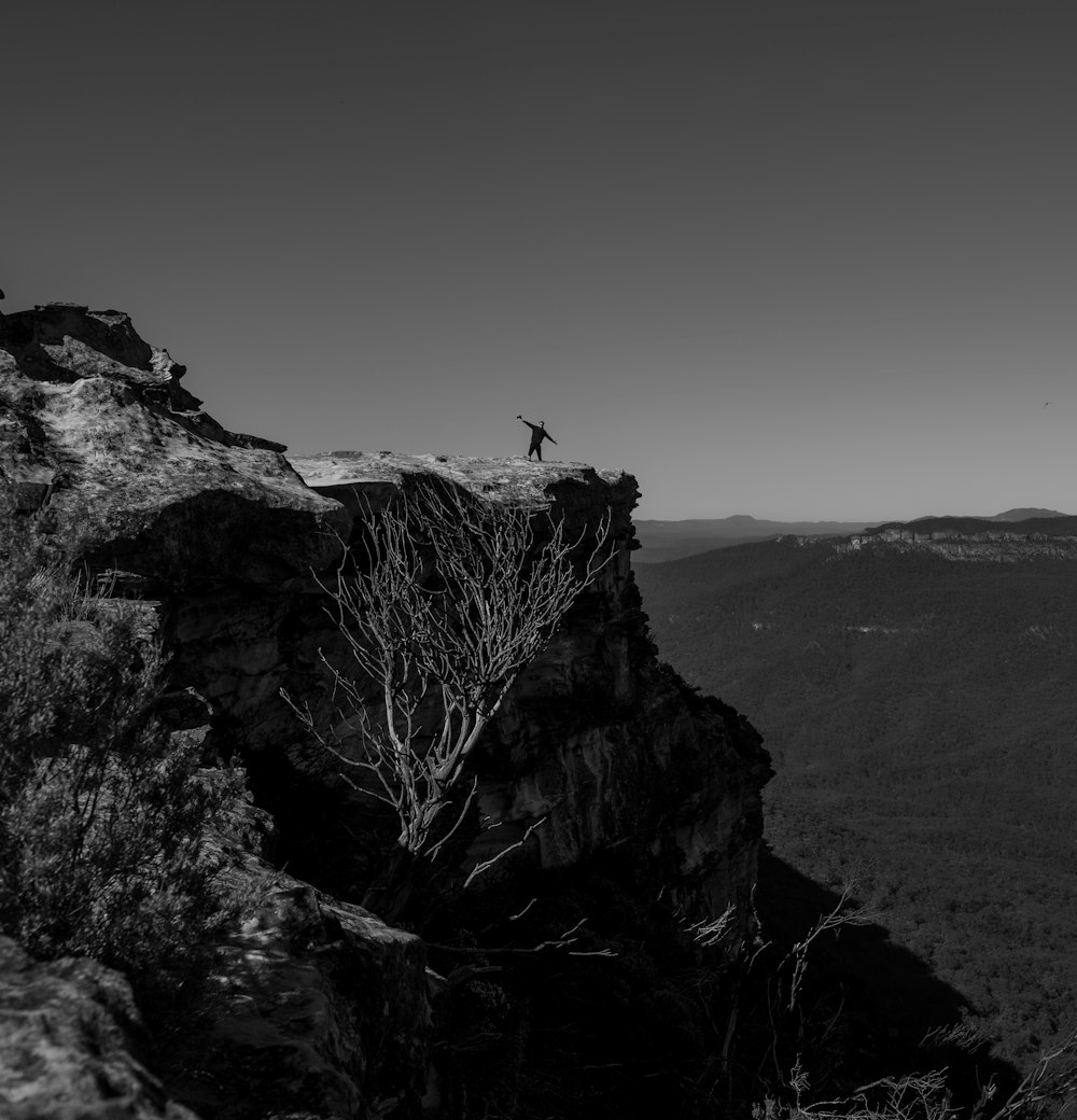 grayscale photo of bird flying over the mountain