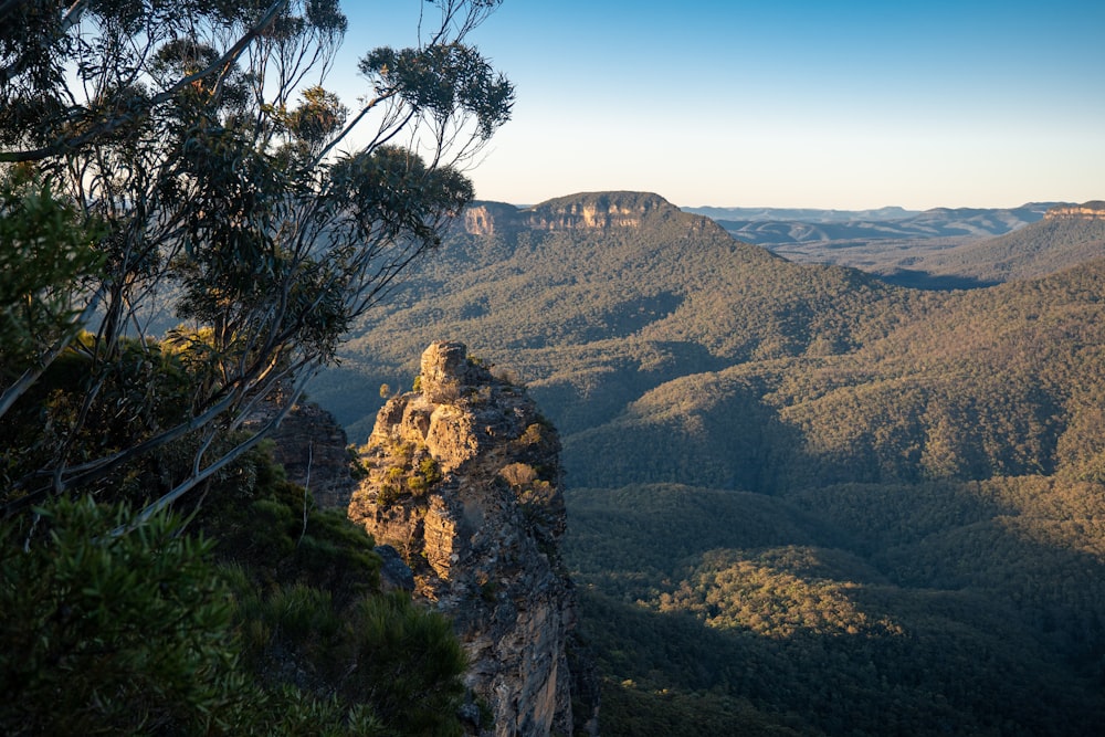 green trees on brown mountain under blue sky during daytime