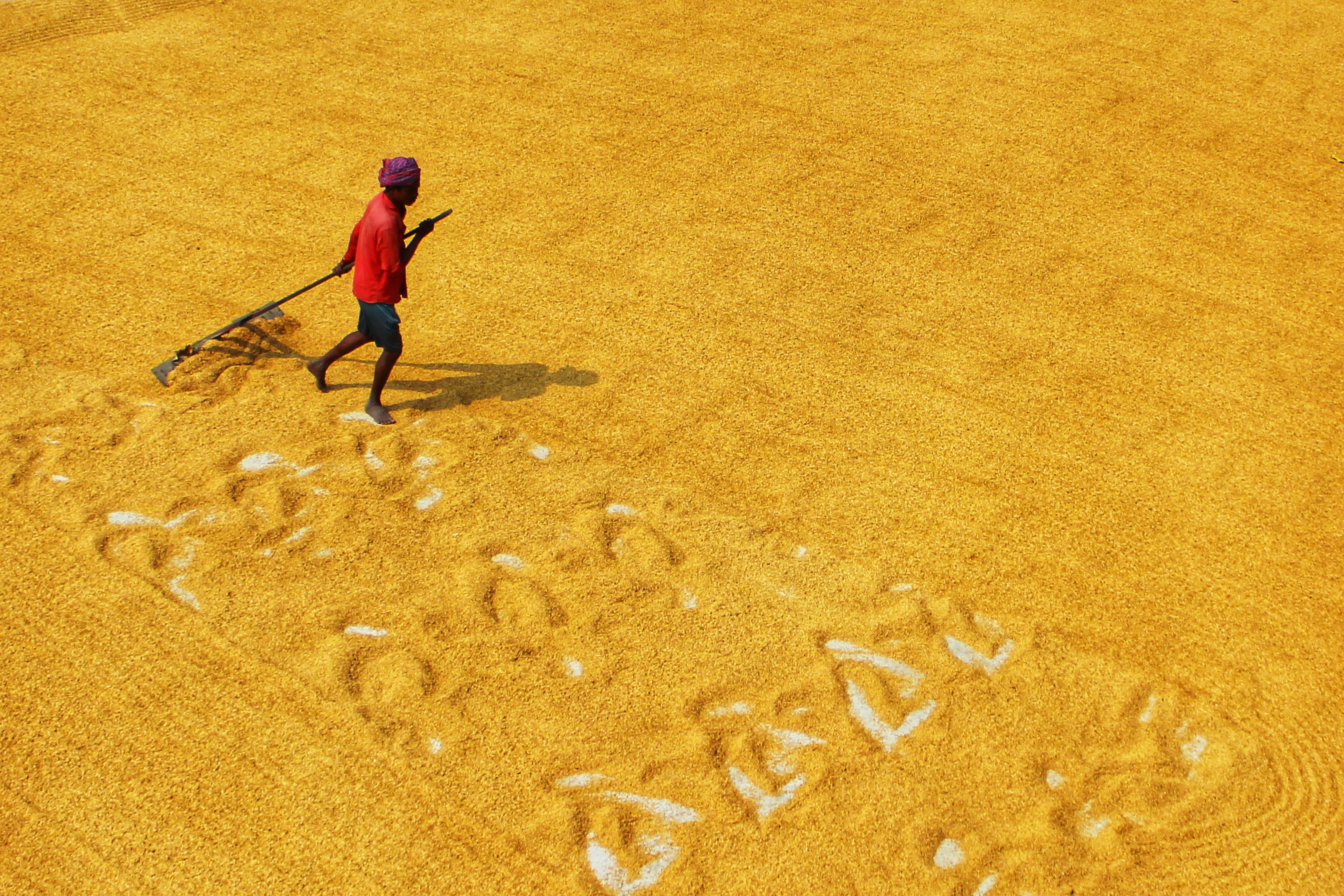 Photo by dibakar16roy