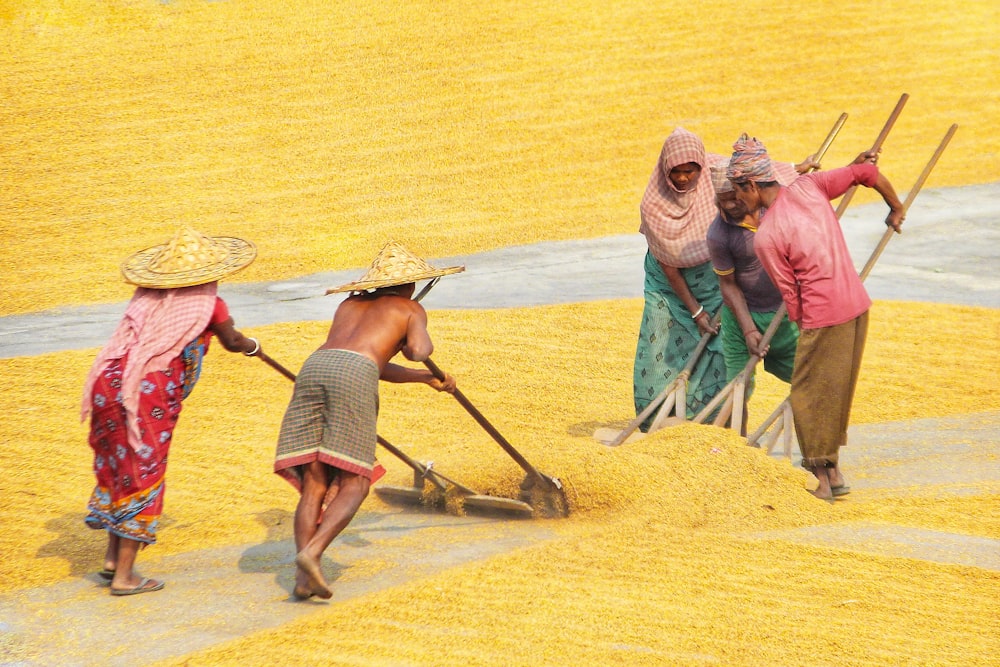 people on beach during daytime