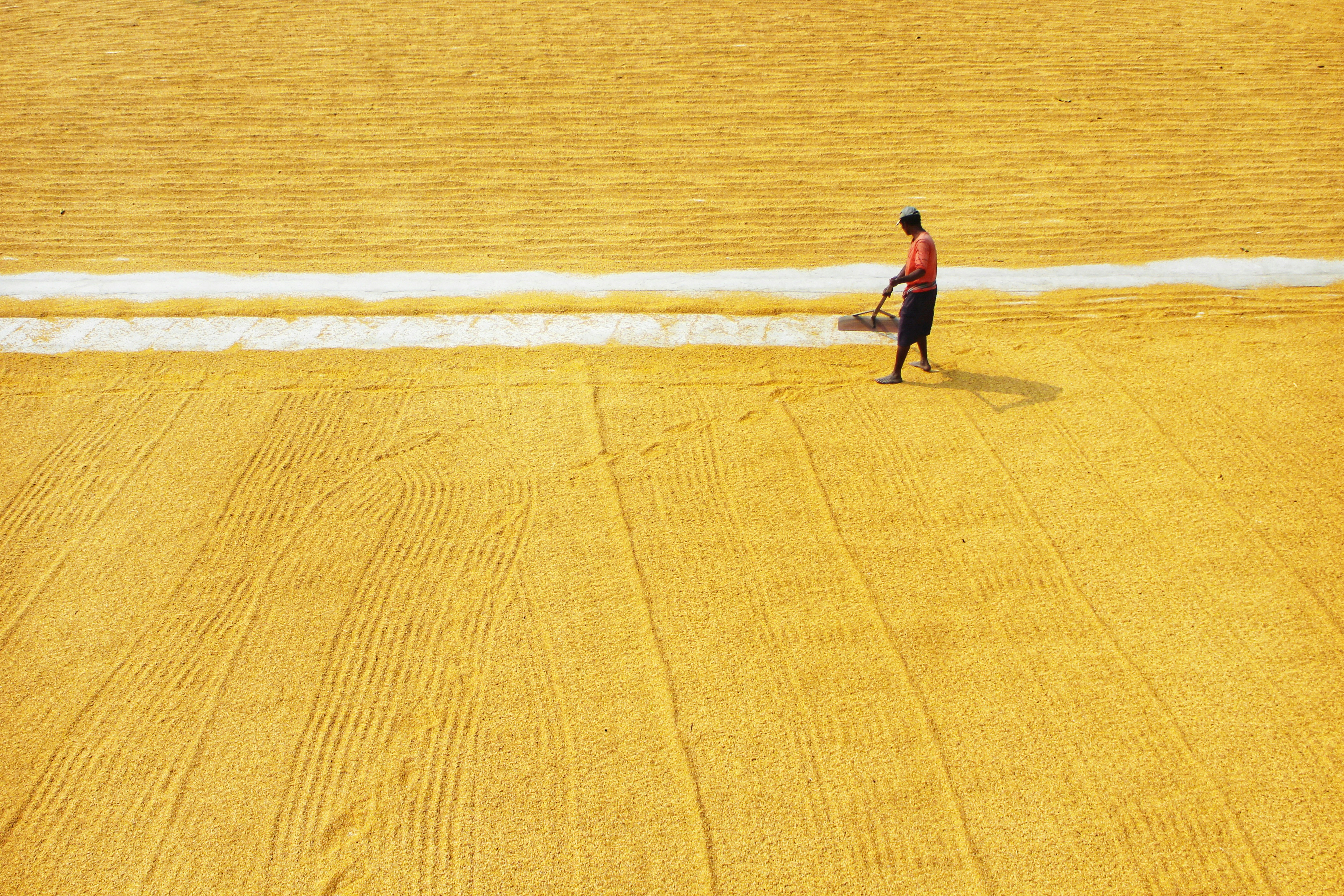 Photo by dibakar16roy