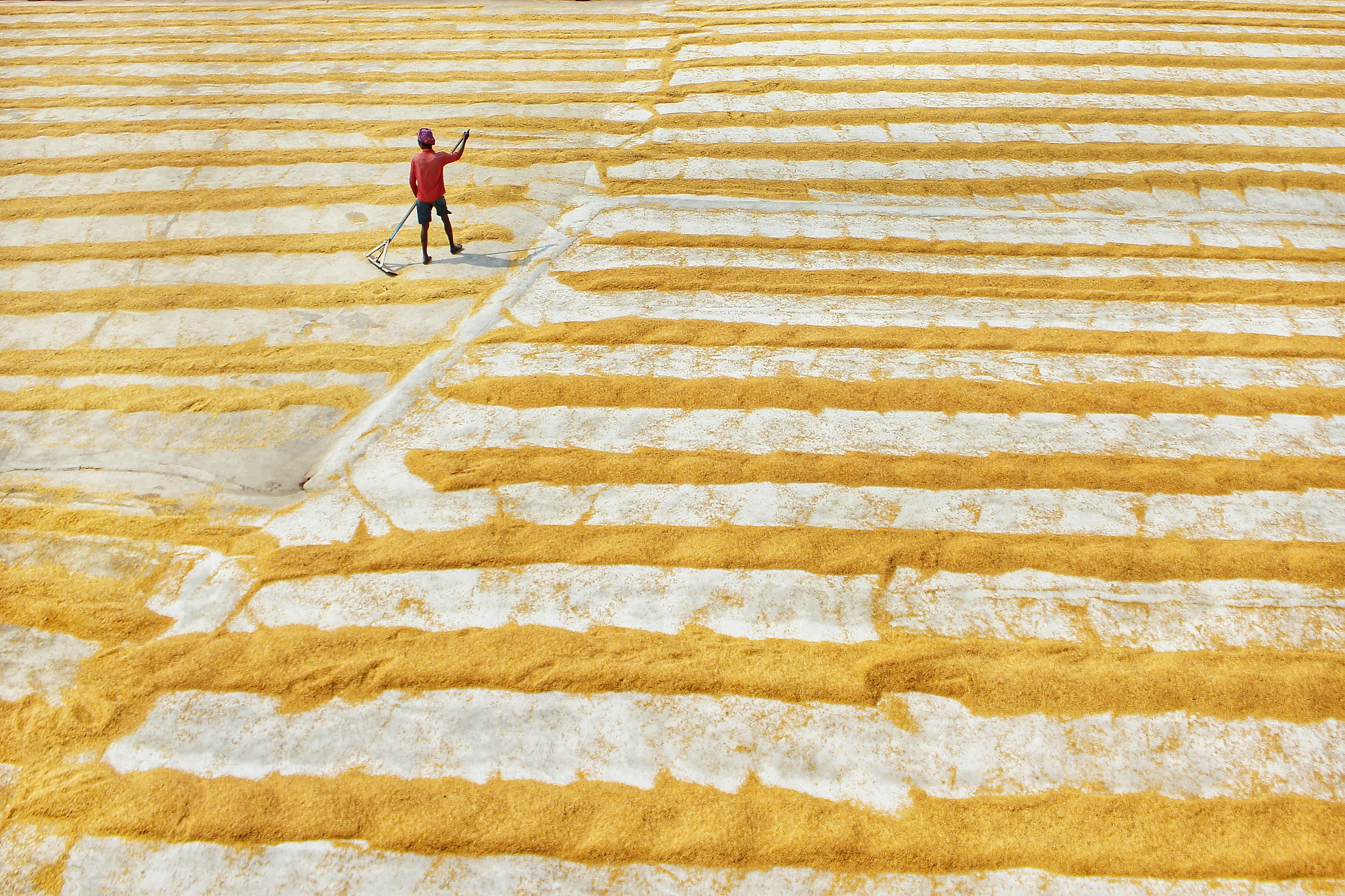 Photo by dibakar16roy