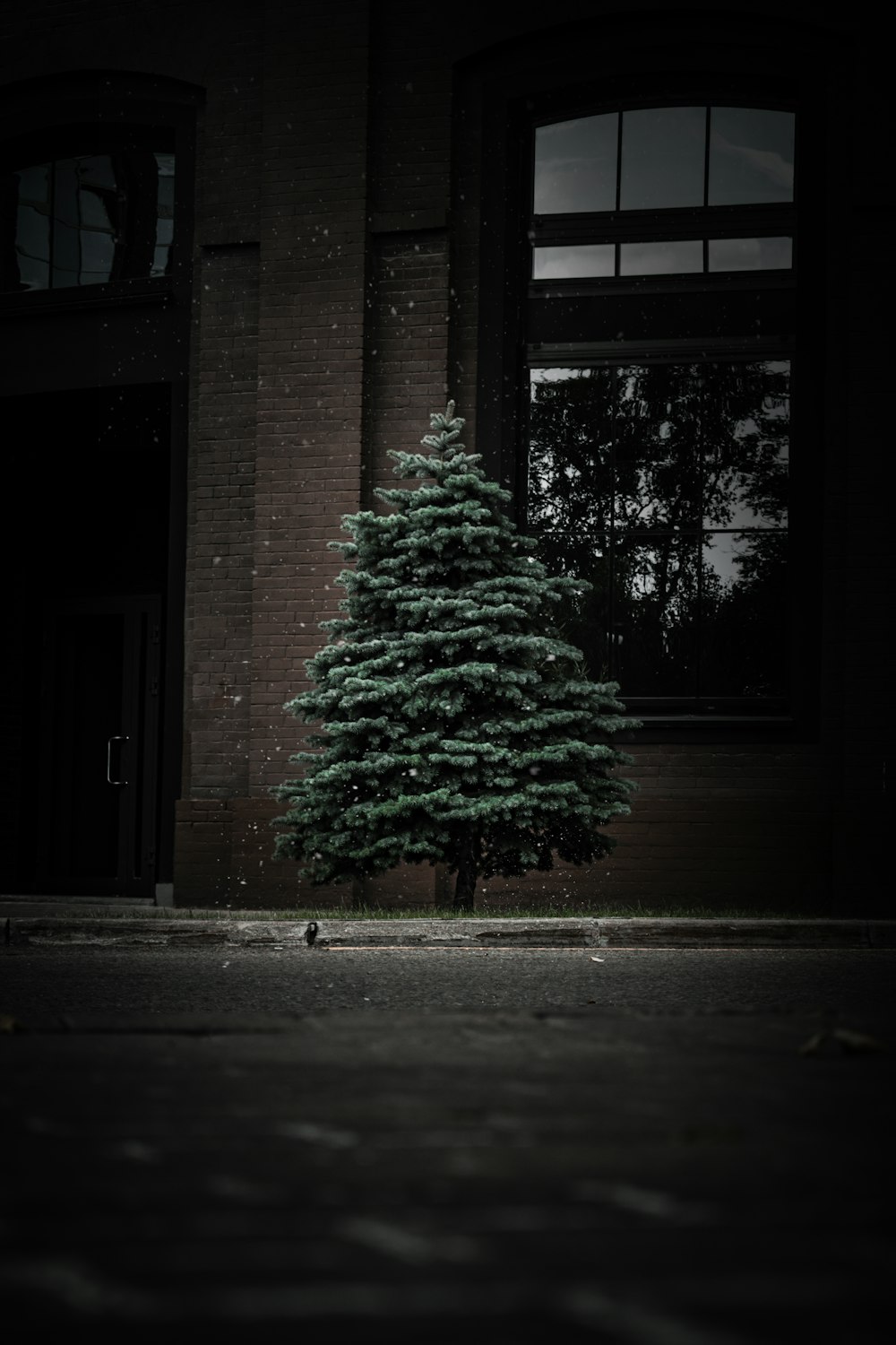 green pine tree in front of brown brick building
