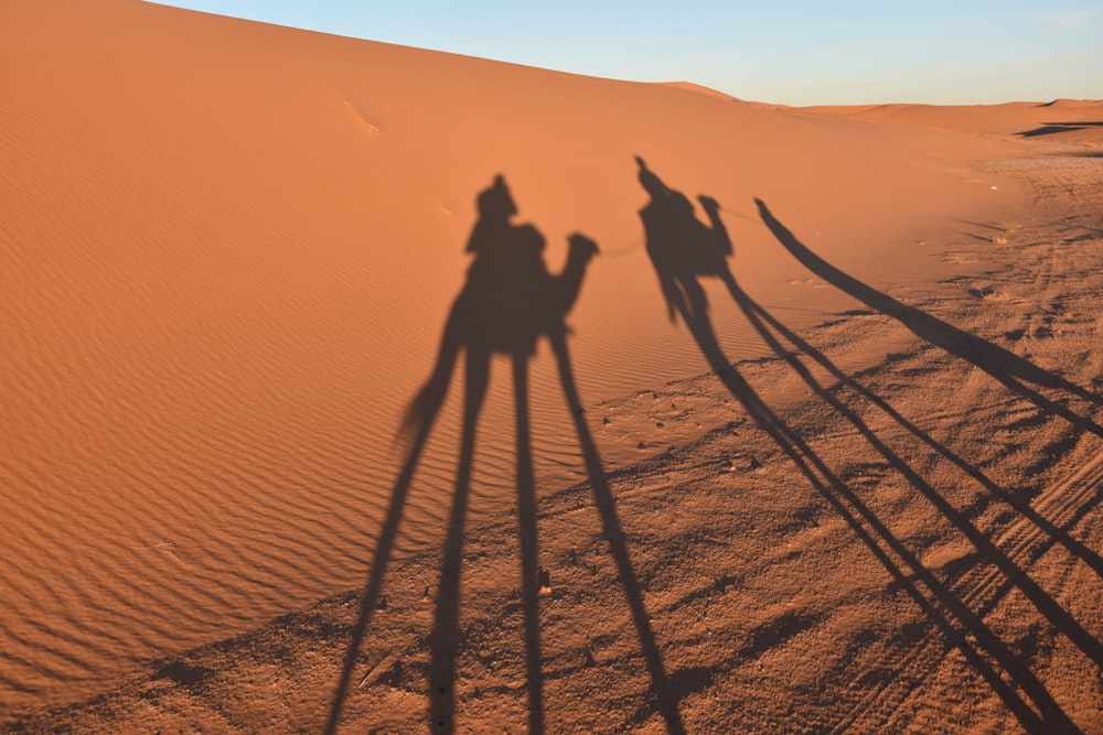 昼間の砂漠でラクダに乗った2人のシルエット