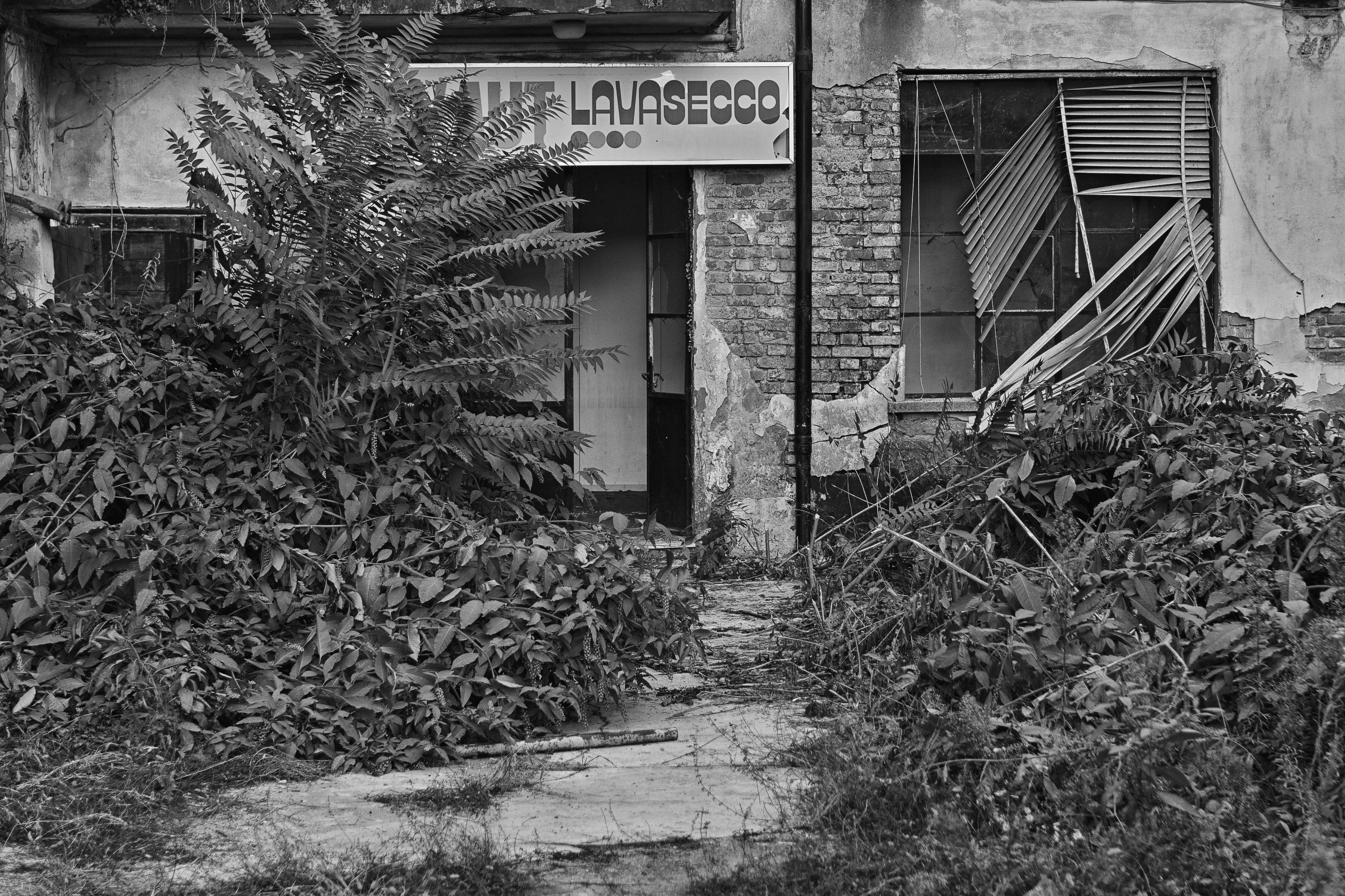 Photo by mickdepaola