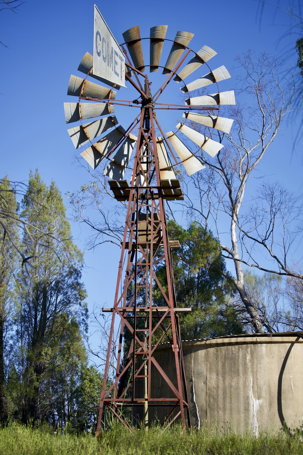 brown and white ferris wheel