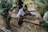 An elderly man is seated on a stone ledge, engaged in crafting with bamboo. He is surrounded by other people who are also working on similar tasks on a shaded patio. The area is framed by lush greenery and traditional architectural elements.