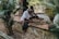 An elderly man is seated on a stone ledge, engaged in crafting with bamboo. He is surrounded by other people who are also working on similar tasks on a shaded patio. The area is framed by lush greenery and traditional architectural elements.