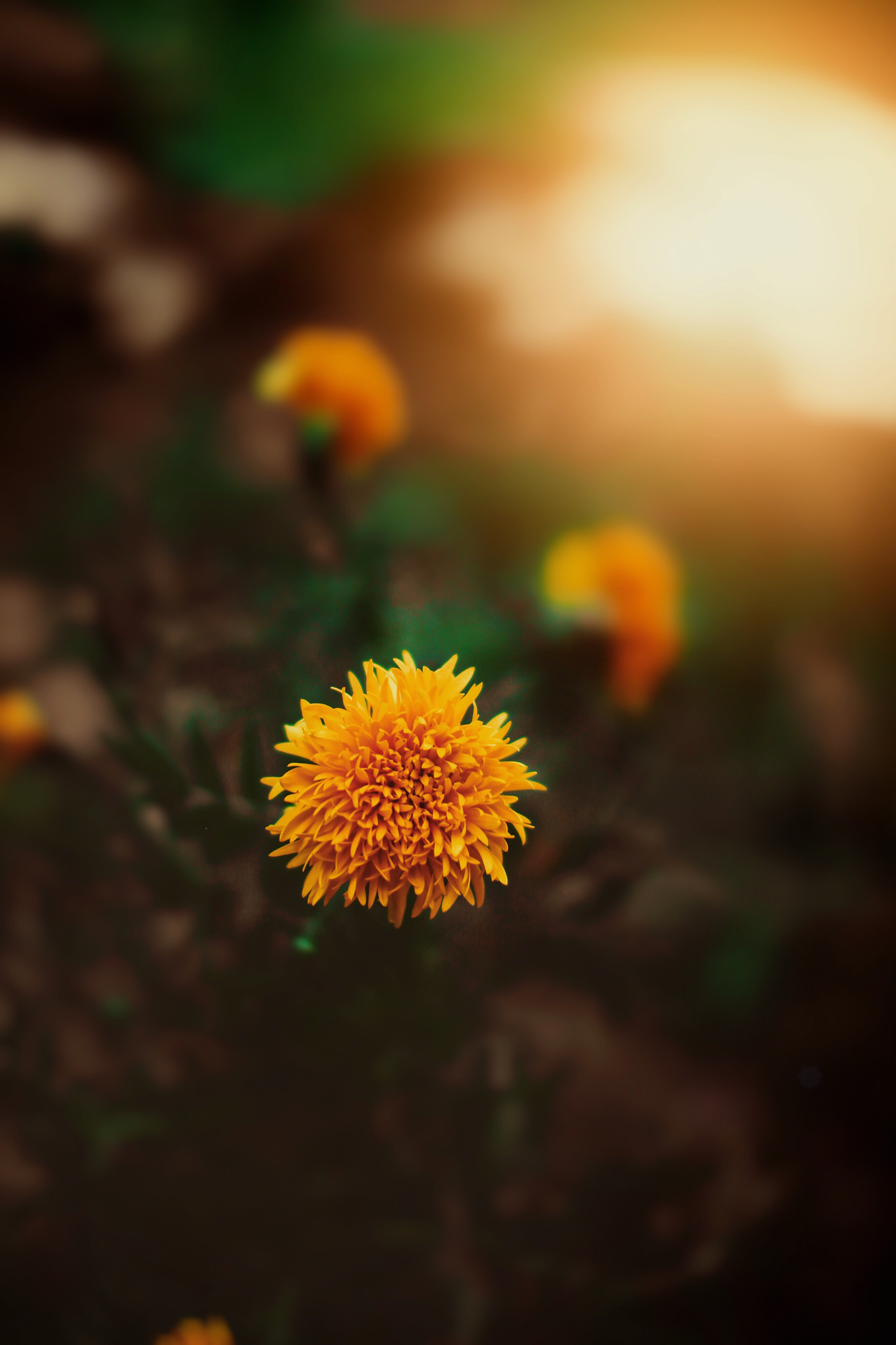 Photo by chinnu_indrakumar