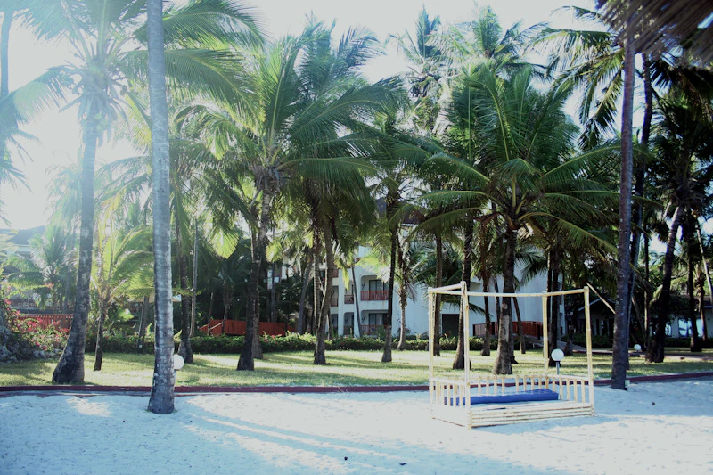 Beach & Coast