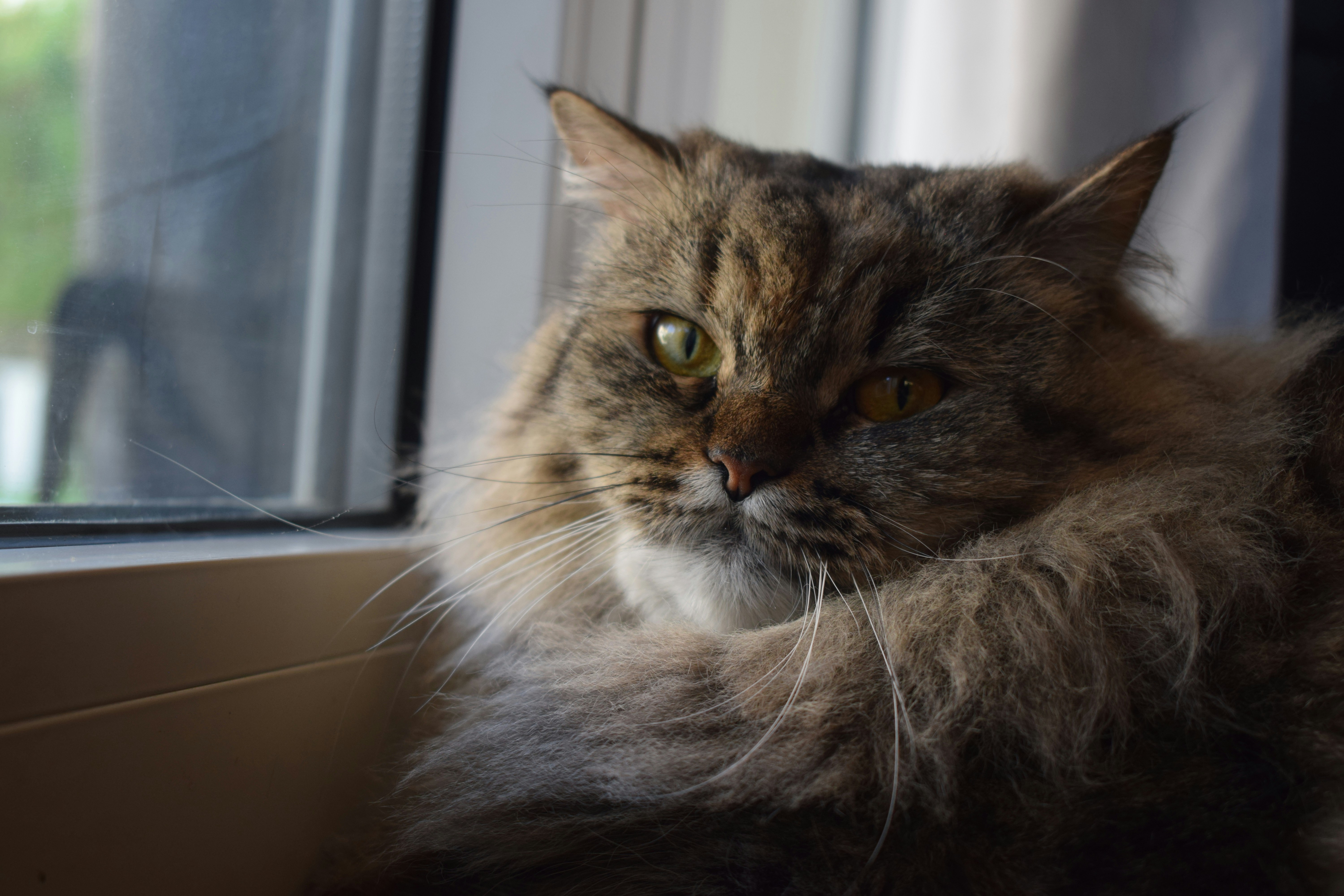 Photo by mostpeoplecallmemilo