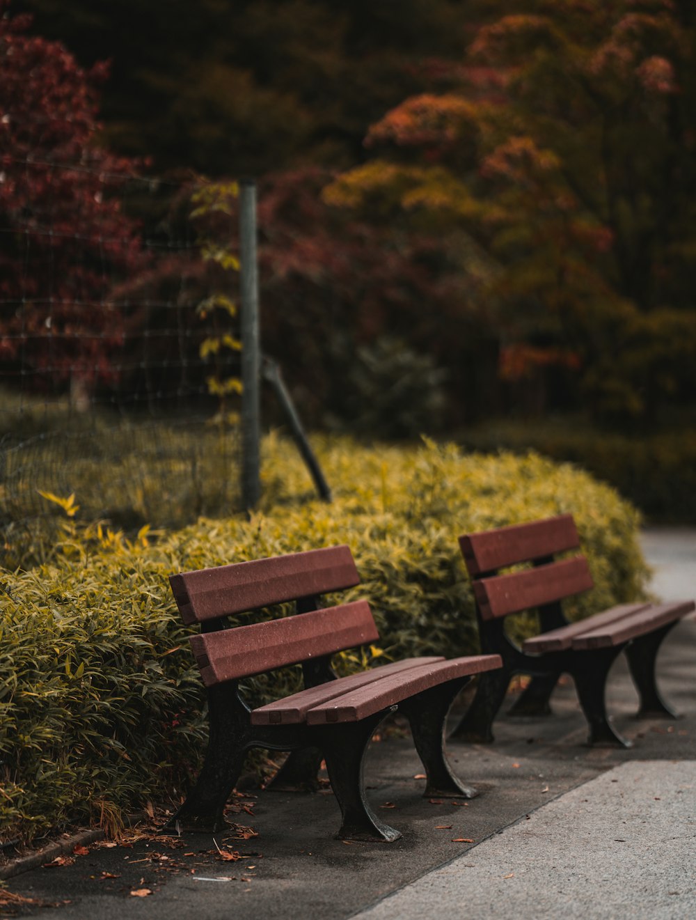 brown wooden bench on green grass field during daytime