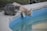 Two cats are perched on the edge of a pool. One is gray with stripes, sitting upright and looking towards the viewer. The other is a light orange tabby, leaning over the edge to drink from the water. The setting appears to be outdoors with a concrete pool border and a blurred grassy background.