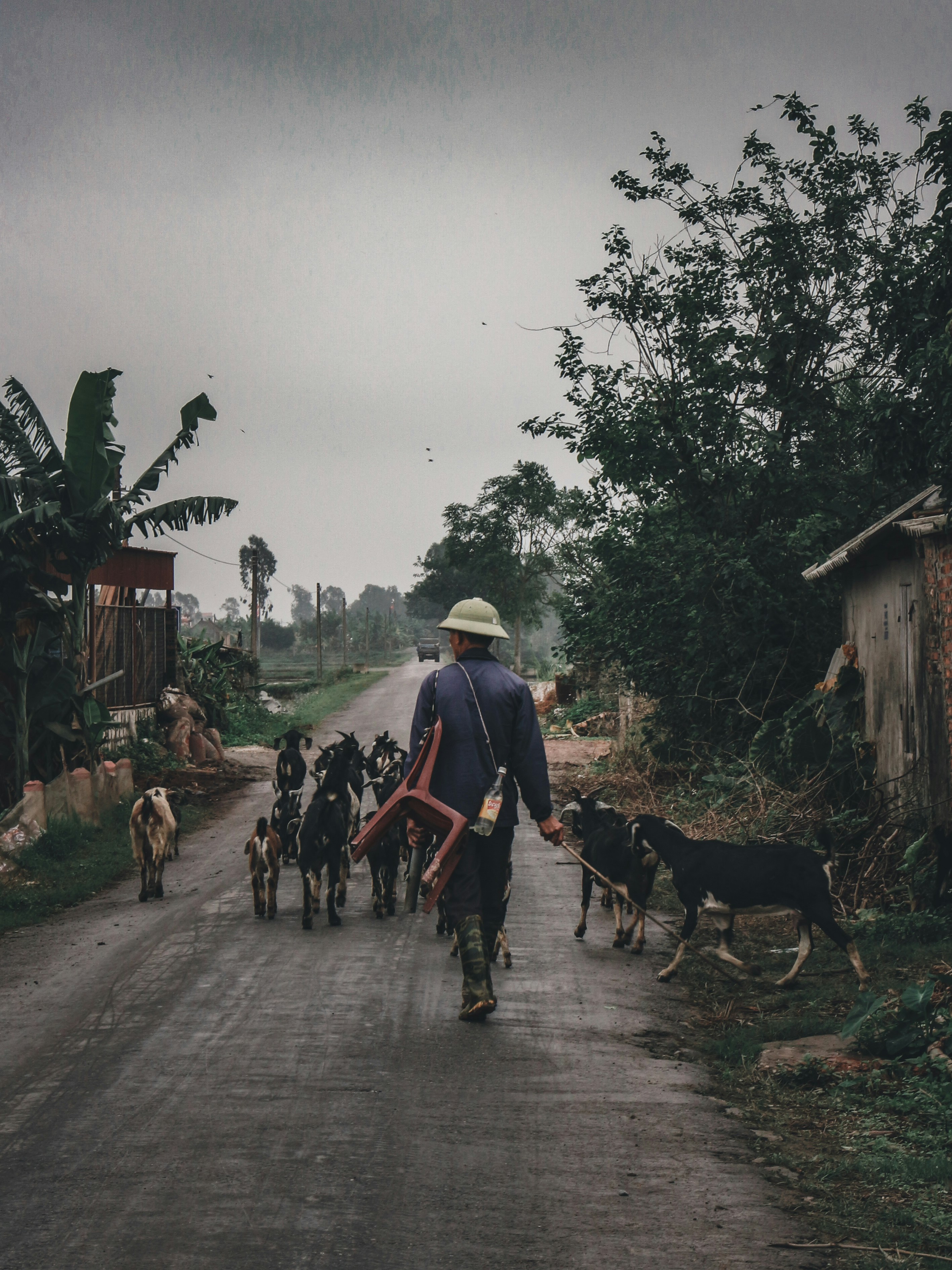 Photo by simonnguyen_