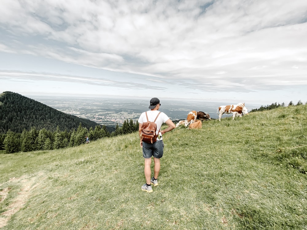 man in blue t-shirt and blue denim shorts with brown and white short coated dog